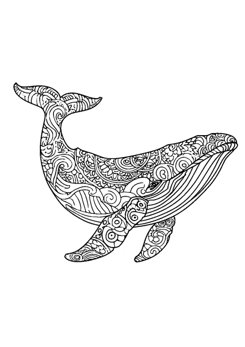 Coloriage : La baleine à motifs